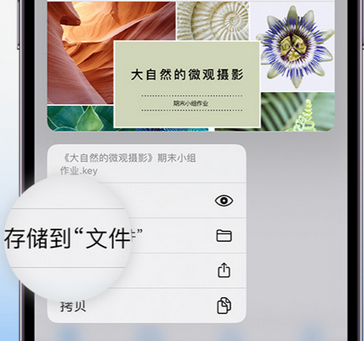 南票apple维修中心分享iPhone文件应用中存储和找到下载文件