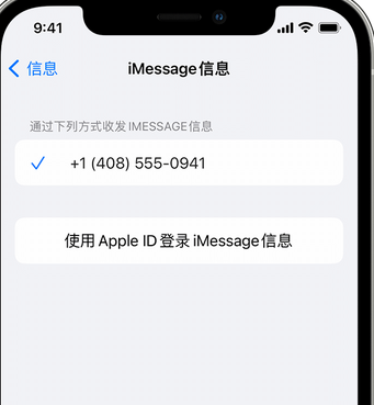 南票apple维修iPhone上无法正常发送iMessage信息 