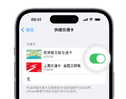 南票apple维修点分享iPhone上更换Apple Pay快捷交通卡手绘卡面 