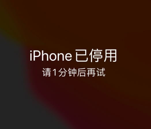 南票苹果手机维修分享:iPhone 显示“不可用”或“已停用”怎么办？还能保留数据吗？ 