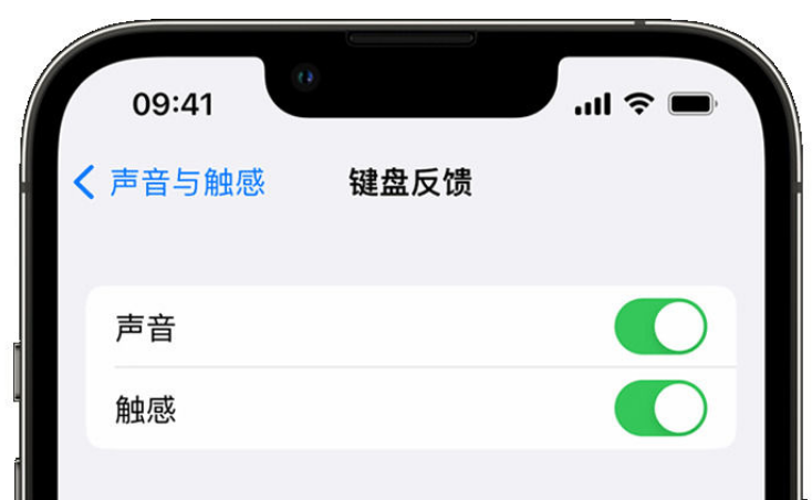 南票苹果手机维修分享iPhone 14触感键盘使用方法 