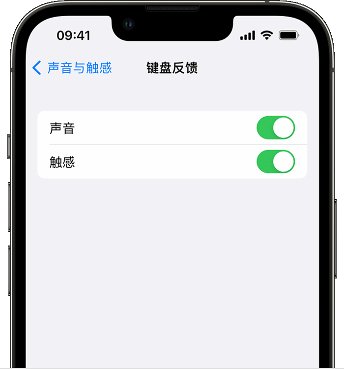 南票苹果14维修店分享如何在 iPhone 14 机型中使用触感键盘 