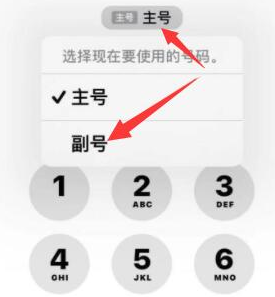 南票苹果14维修店分享iPhone 14 Pro Max使用副卡打电话的方法 