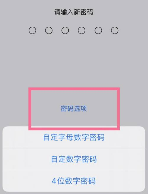 南票苹果14维修分享iPhone 14plus设置密码的方法 