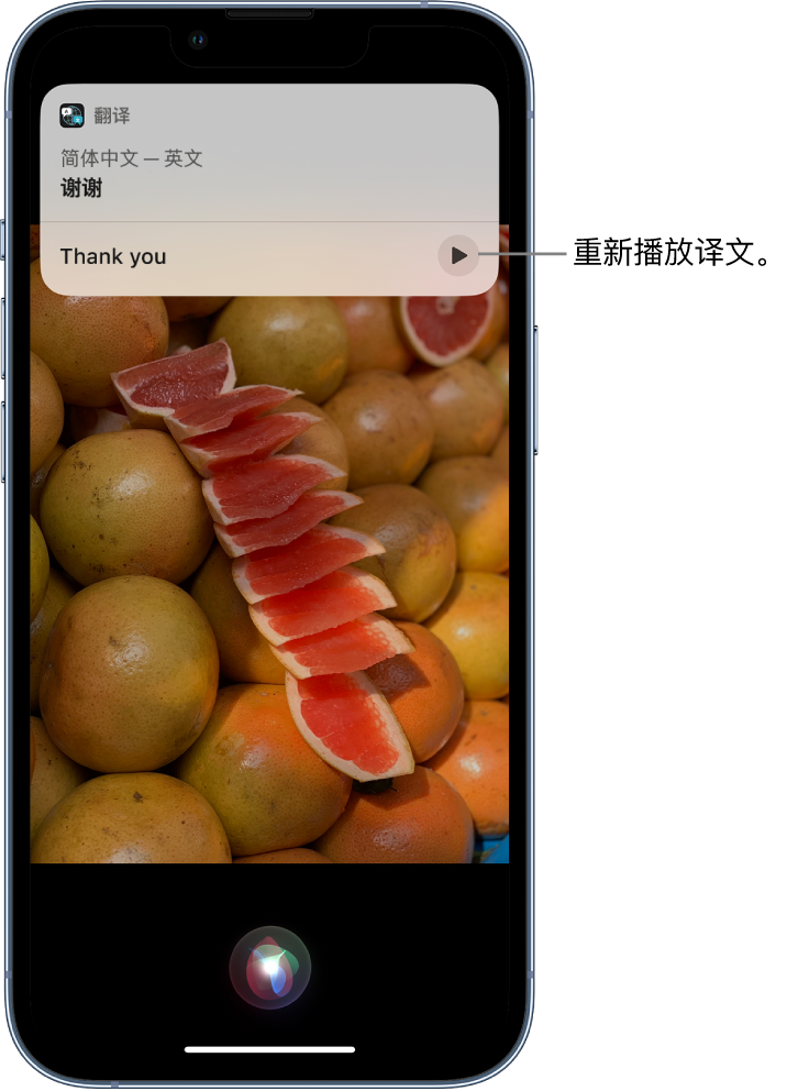 南票苹果14维修分享 iPhone 14 机型中使用 Siri：了解 Siri 能帮你做什么 