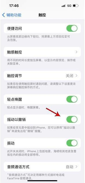 南票苹果手机维修分享iPhone手机如何设置摇一摇删除文字 