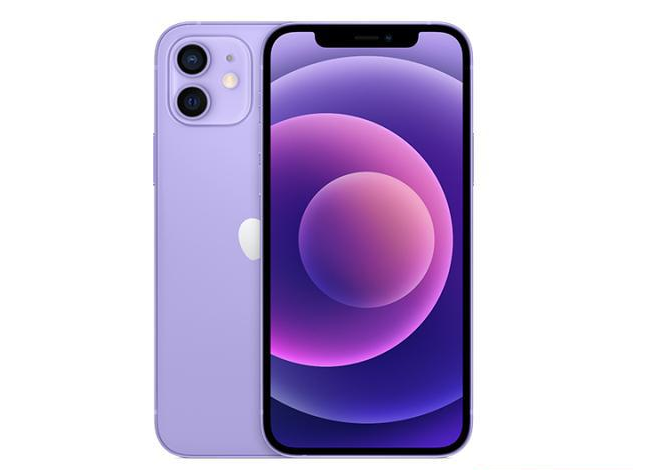 南票苹果手机维修分享现阶段要不要入手紫色版iPhone12 
