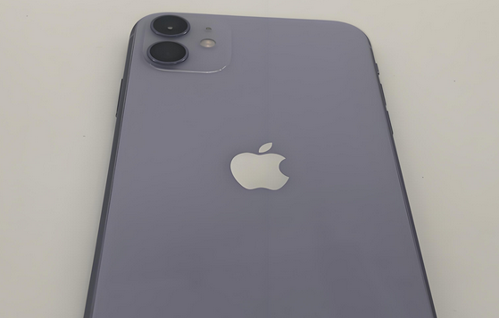 南票苹果11系统维修分享iPhone11手机系统崩溃无法开机如何解决 